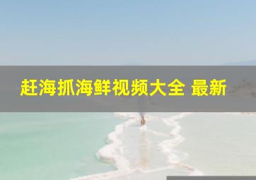 赶海抓海鲜视频大全 最新